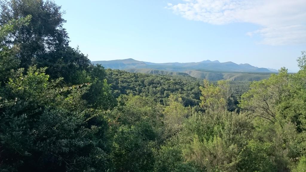 Plettenberg Bay Game Reserve: The Baroness Safari Lodge 外观 照片