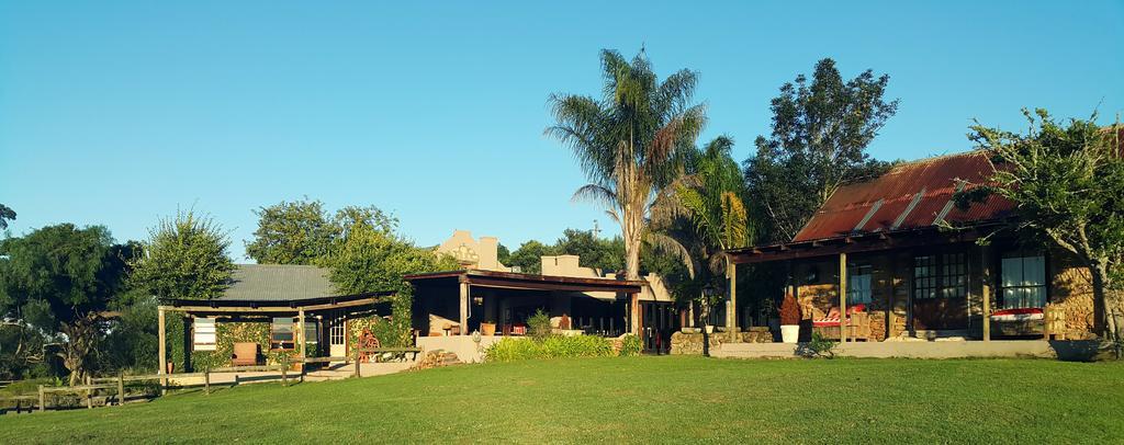 Plettenberg Bay Game Reserve: The Baroness Safari Lodge 外观 照片