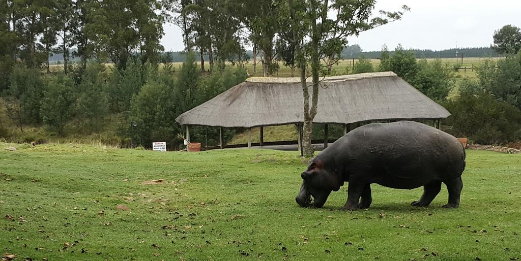 Plettenberg Bay Game Reserve: The Baroness Safari Lodge 外观 照片